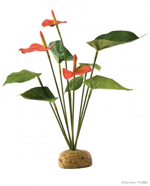 Exo Terra Flamingobloem