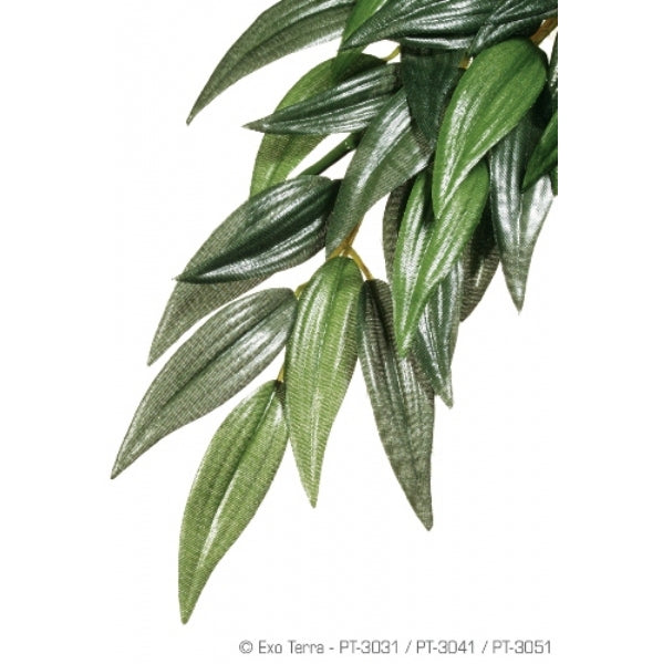 ExoTerra Ruscus