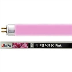 Red Sea Reef Spec Pink