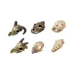 schedel mini 7-10 cm