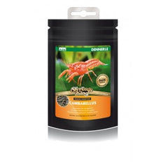 Dennerle shrimp king cambarellus