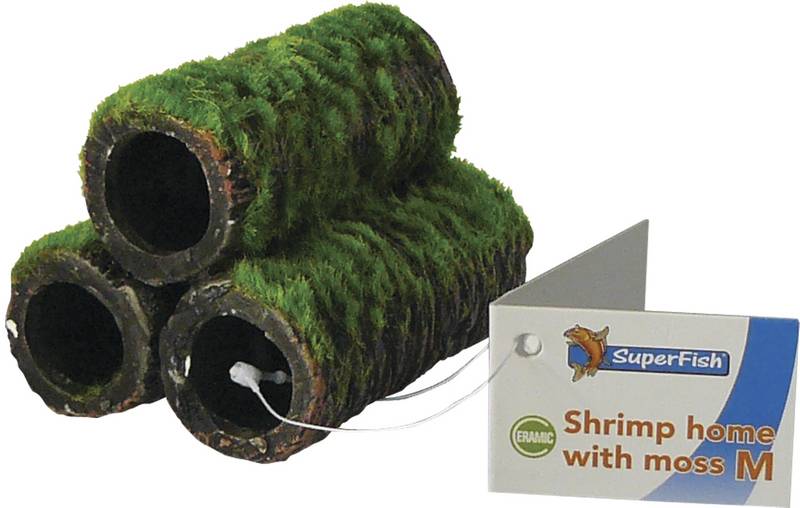 Superfish Shrimp home met mos