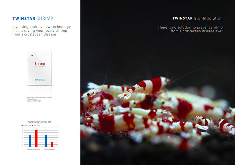 Twinstar Shrimp