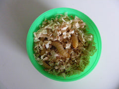 wasmotten
