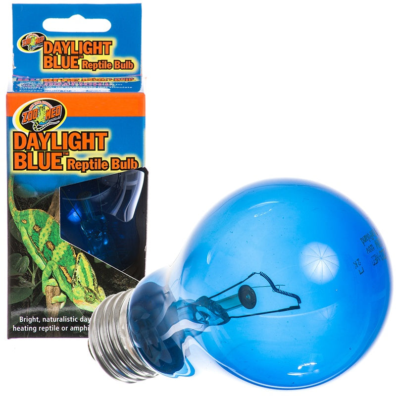 Zoomed daylight blue reptile bulb