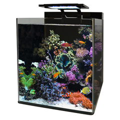 Blue marine reef 90