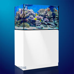 Aqua Medic Xenia 100