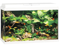 Juwel Primo 70 LED