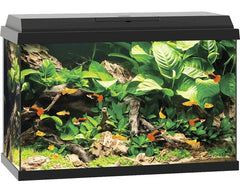 Juwel Primo 70 LED