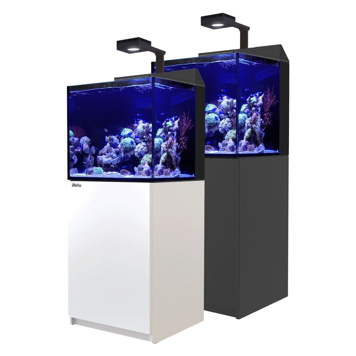 MAX® E - 170 LED (with ReefLED)