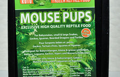 Ruto Mouse pups