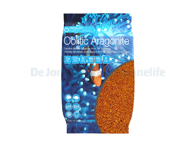 Oolitic Aragonite - Orange