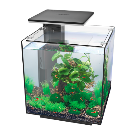 SuperFish QubiQ 30 Pro