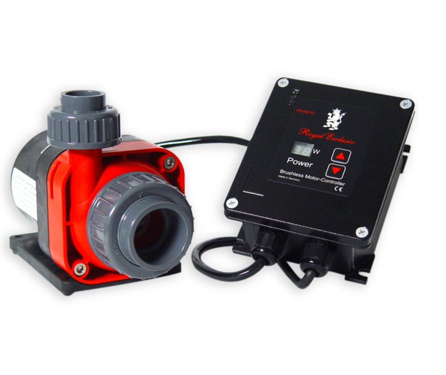 Royal exclusive Red Dragon® 3 Mini Speedy 60 Watt-5,5m³-10V Control Input