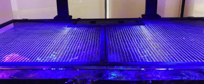 Red Sea Tank Net Screen
