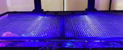 Red Sea Tank Net Screen