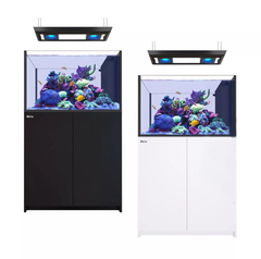 REEFER™ Peninsula G2+ 350 Deluxe System