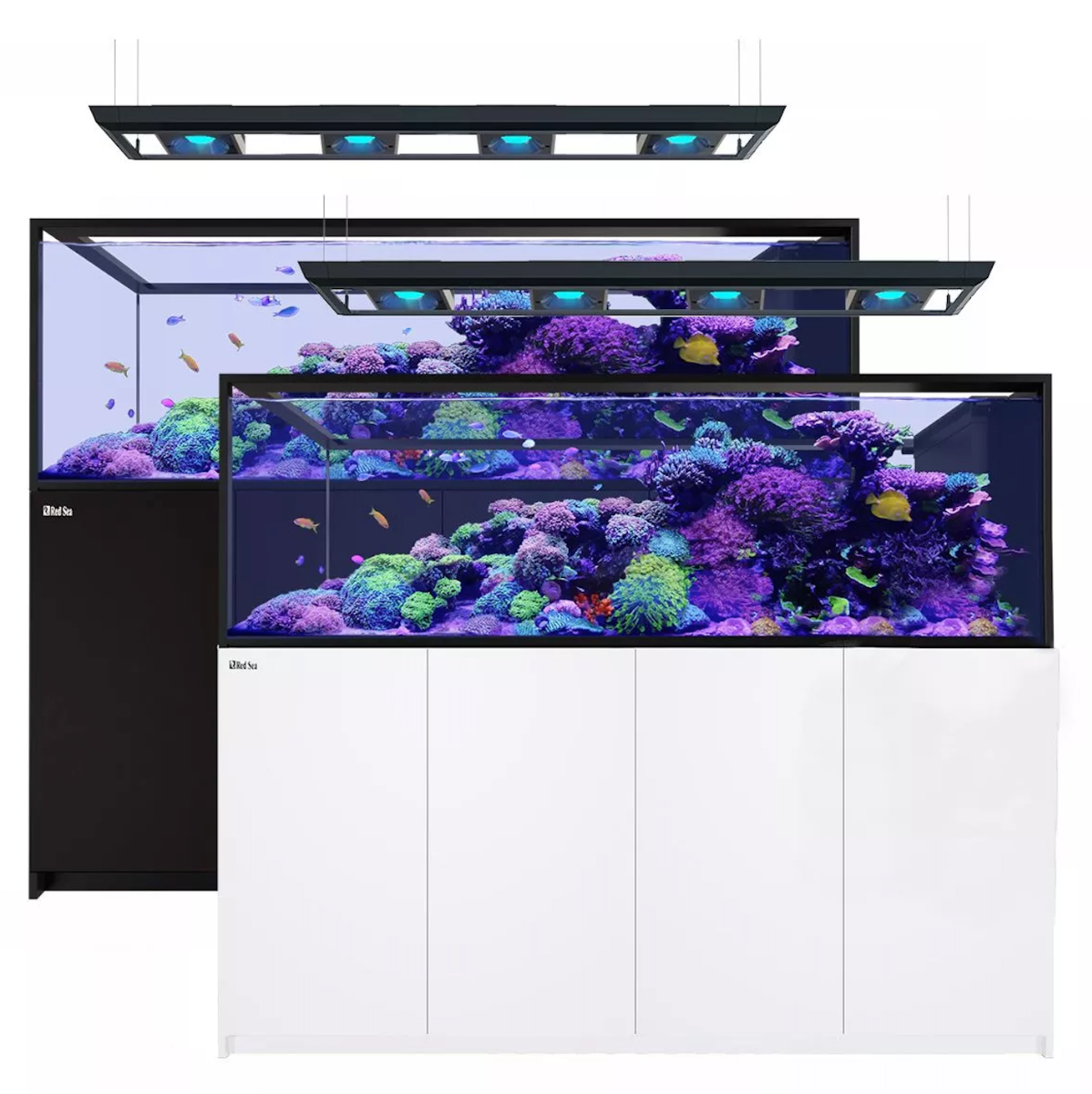 REEFER™ Peninsula G2+ S-950 Deluxe  System