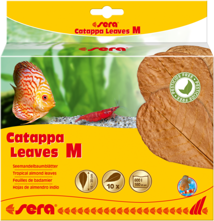 Sera Catappa leaves