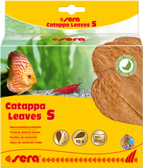 Sera Catappa leaves