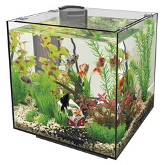 SuperFish QubiQ 30