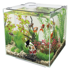 SuperFish QubiQ 30