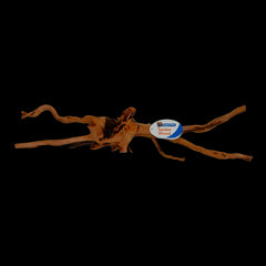 Superfish Spiderwood X-Large 50-60cm