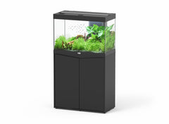 Aquatlantis SPLENDID 80
