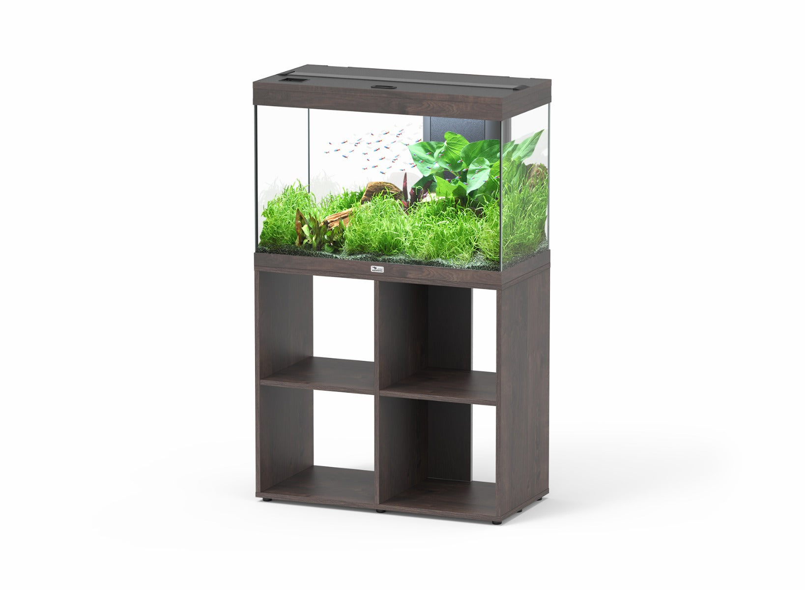 Aquatlantis SPLENDID 80