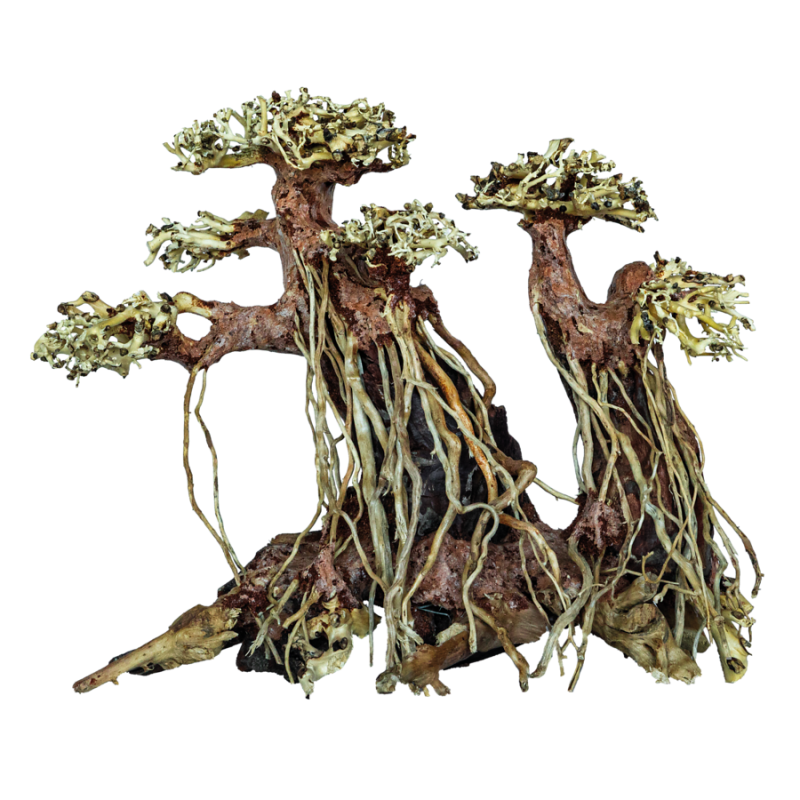 SuperFish Bonsai Twin Tree Medium