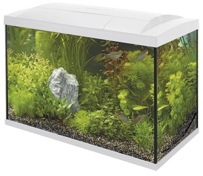 Superfish start 100 tropical kit
