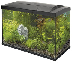 Superfish start 100 tropical kit