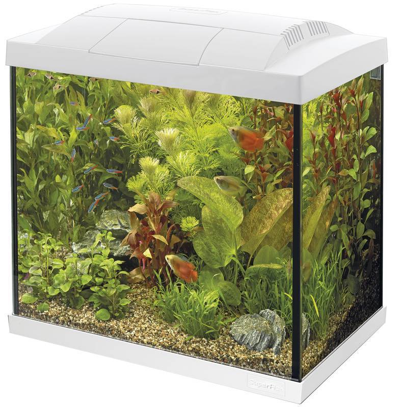 Superfish Start 50 Tropical Kit