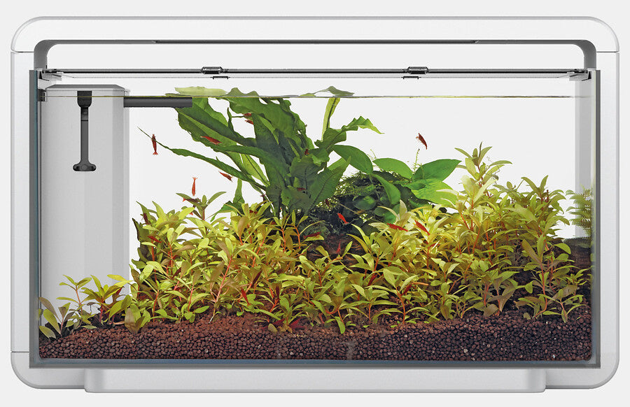 Superfish Home 30