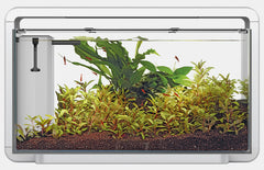 Superfish Home 30