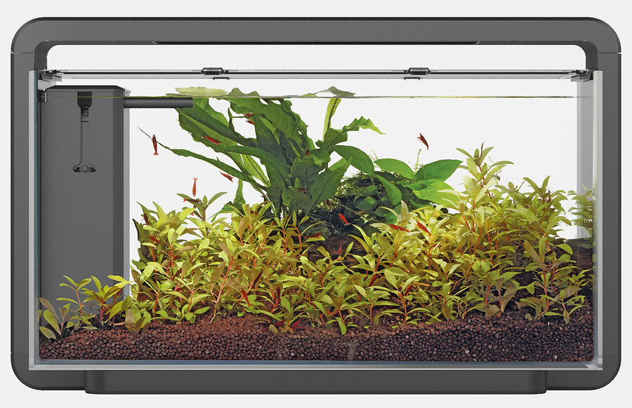 Superfish Home 30