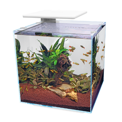 SuperFish QubiQ 60 Pro