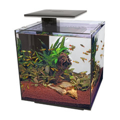 SuperFish QubiQ 60 Pro