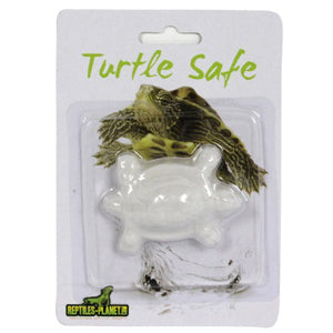 Turtle Safe β Heevis